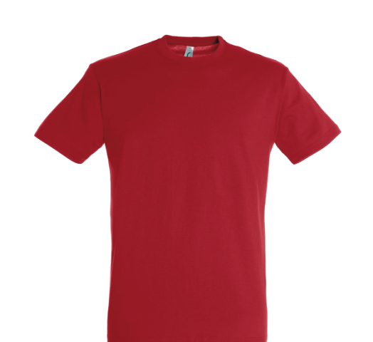 Tee-shirt mixte couleur regent 